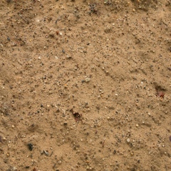 Грязный песок в Рязани